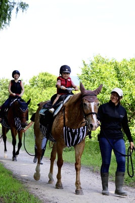 引退後の馬親しんで 引退後の馬親しんで
