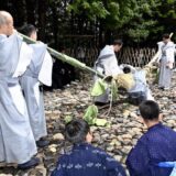 ながイモのどっち？