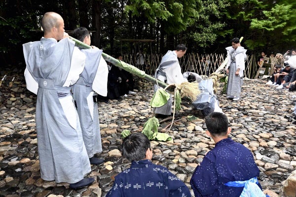 ながイモのどっち? ながイモのどっち?