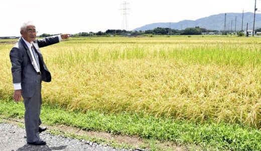 高島ほ場整備が本格化