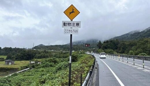 国道シカ・イノシシに注意 ロードキル減へ １６１号標識に出没目安距離